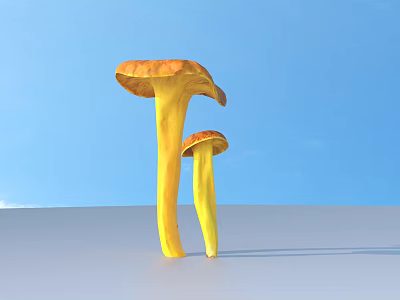 Two Yellow Mushrooms Standing On Gray Ground With Blue Sky Background 3d model