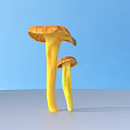 Two Yellow Mushrooms Standing On Gray Ground With Blue Sky Background 3d model