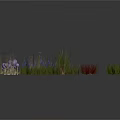 Colorful Decorative Plants For Home Decoration Including Green Grass And Purple Flowers