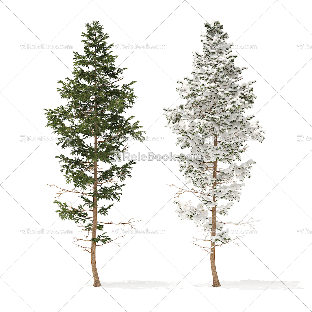 Modern Tree Pine 3d model