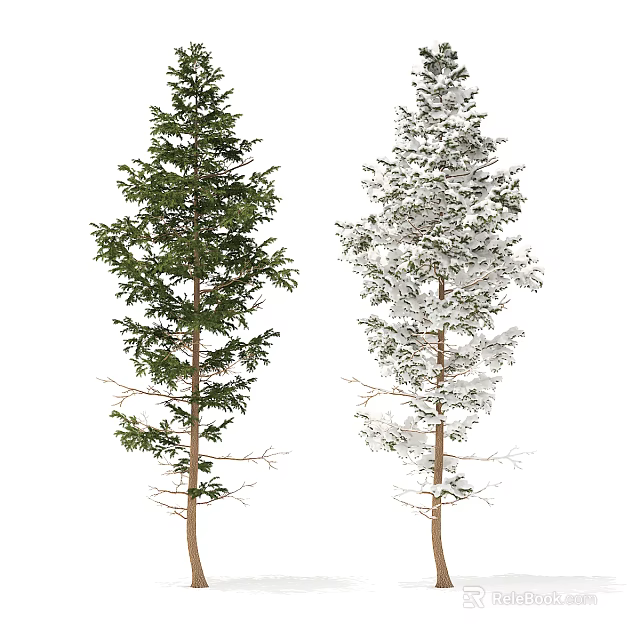 Two Outdoor Evergreen Arbor Varieties One Green and One Snow Covered 3d model 