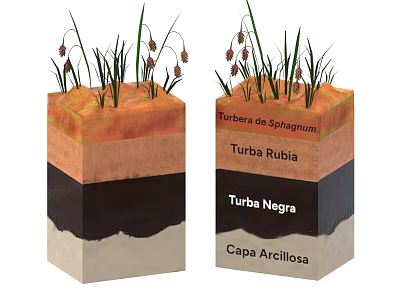 Decorative Ornament Set with Layered Sphagnum Red Black Peat and Clay Layers and Plants 3d model