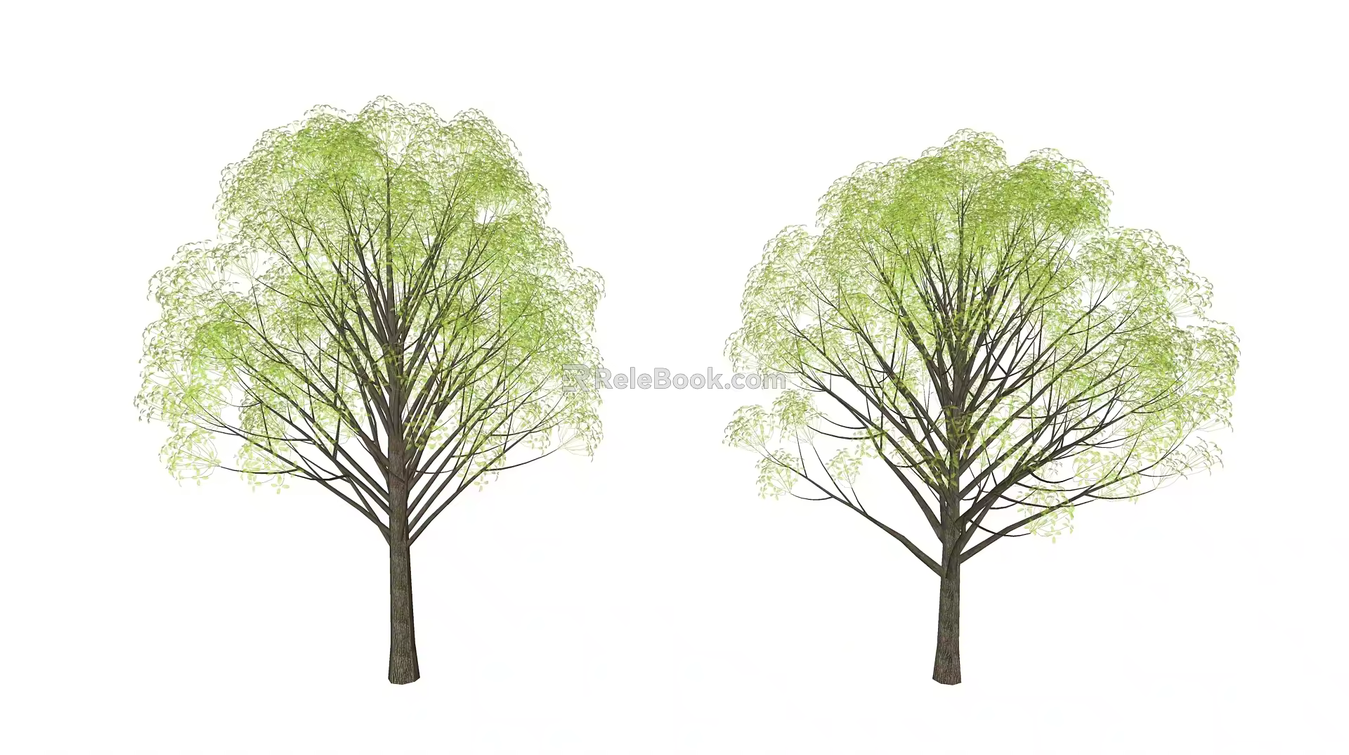 Modern Tree Landscape Tree 3d model