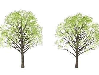 Modern Tree Landscape Tree 3d model