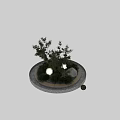 Modern Zen Style Garden Landscape With Delicate Trees Natural Stones And Lush Green Grass