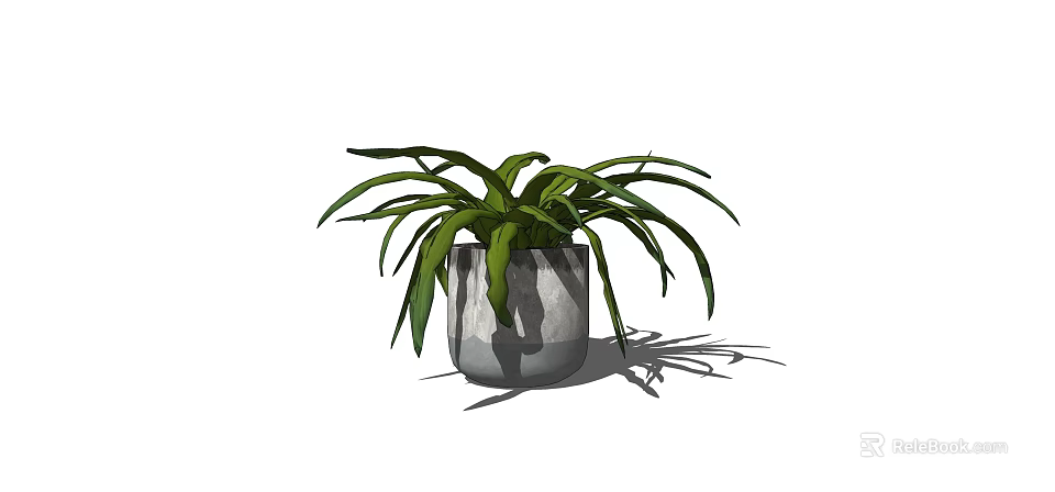 Bonsai Potted Plant With Long Slender Green Leaves In Gray Ceramic Pot 3d model 