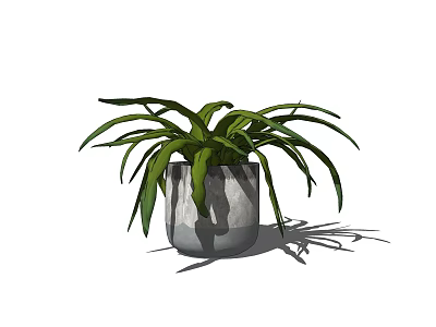 Bonsai Potted Plant With Long Slender Green Leaves In Gray Ceramic Pot 3d model