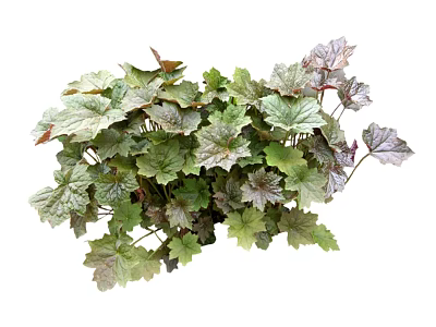 Modern Grass Shrub Grass 3d model Modern Grass Shrub Grass 3d model