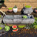 Stone Trough Water Feature With Watermelons Potted Plants And Bamboo Fence