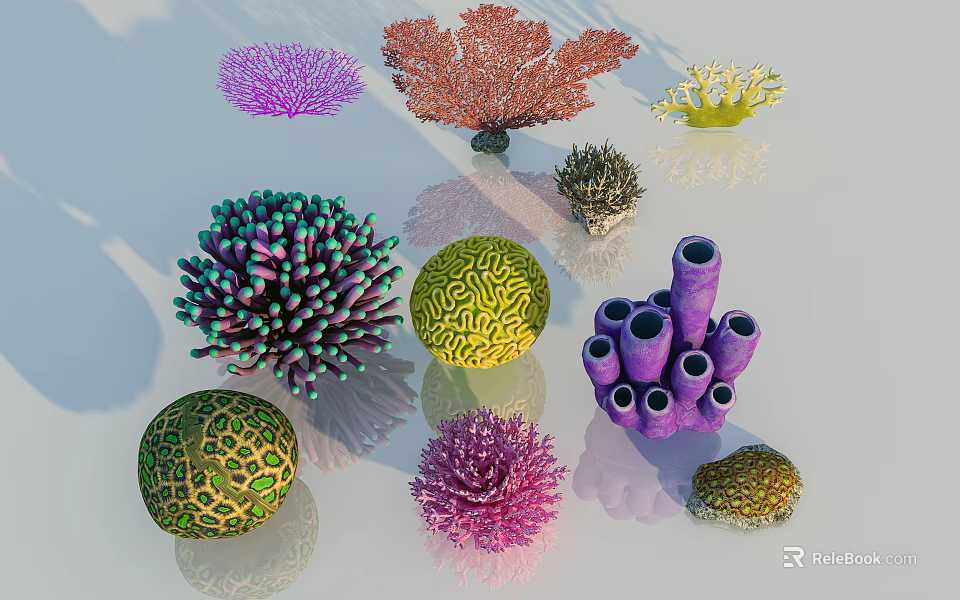 Colorful Decorative Flowers With Various Shapes And Vibrant Hues In Garden 3d model 
