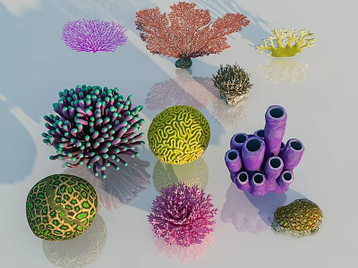 Colorful Decorative Flowers With Various Shapes And Vibrant Hues In Garden 3d model