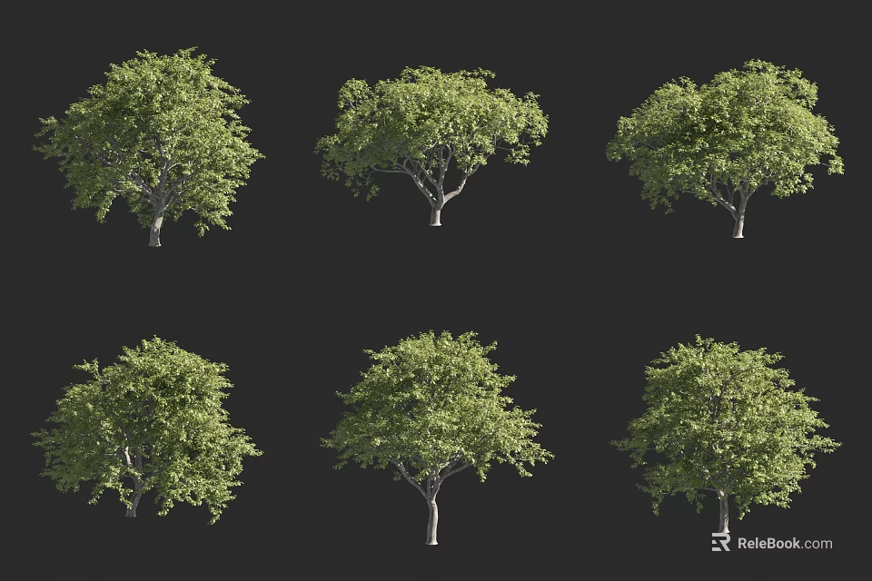 Various Green Arbor Trees With Different Canopy Shapes Rendered Against Black Background 3d model