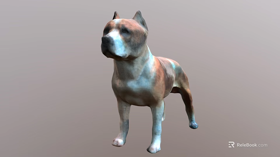 Brown And White Medium Sized Dog Standing On Neutral Gray Background 3d model 