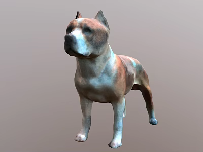Brown And White Medium Sized Dog Standing On Neutral Gray Background 3d model