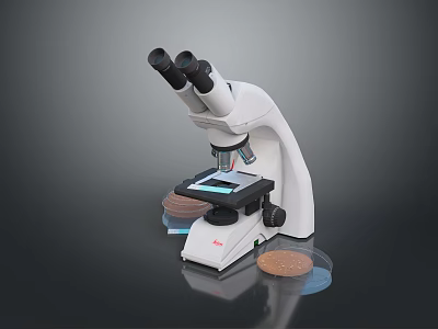 Household Binocular Microscope With Glass Slides And Stable Base For Home Use 3d model