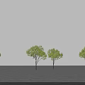 Two Arbor Trees With Green Leaves And Brown Trunks On Gray Paved Ground 3d model