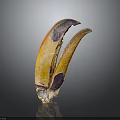 Animal Claws With Yellow And Purple Natural Texture On Dark Background