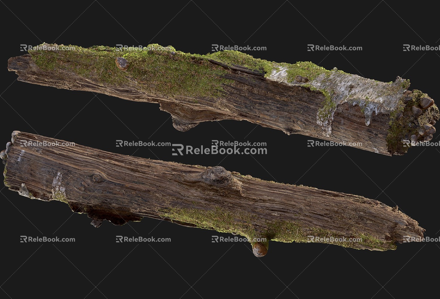 tree root moss bark tree dry tree 3d model