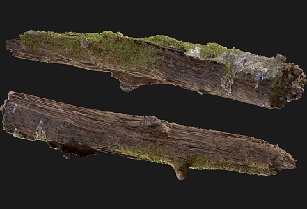 tree root moss bark tree dry tree 3d model