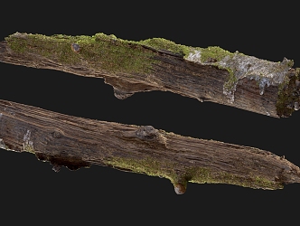 tree root moss bark tree dry tree 3d model