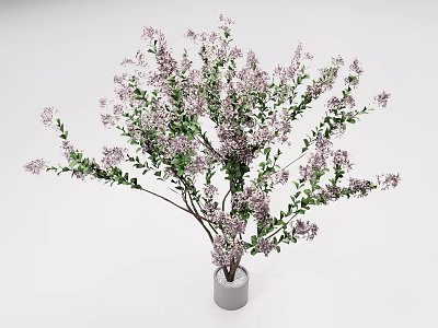 Elegant Bonsai Plant with Purple Blossoms Green Leaves and Gray Ceramic Pot 3d model
