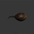 Organic Fresh Whole Beetroot with Long Taproot and Green Sprouts on Dark Background