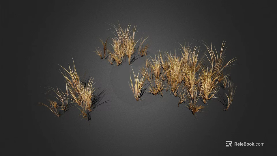 Clusters of Wispy Golden Brown Dried Grass Plants on Dark Background 3d model 