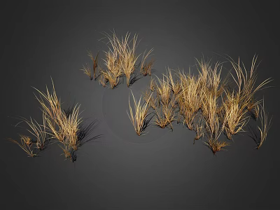 Clusters of Wispy Golden Brown Dried Grass Plants on Dark Background 3d model