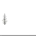 Arbor Showcasing Line Drawing Style With Detailed Branch Structure On Black Background
