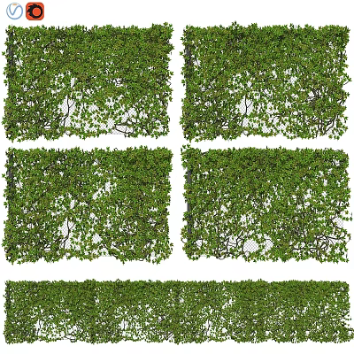 Green Plant Wall Decorative Ornament Set with Square Panels for Indoor Decoration 3d model