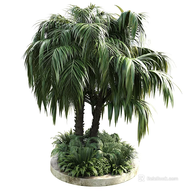 Lush Palm Arbor With Long Green Fronds Trunk And Surrounding Small Plants 3d model 