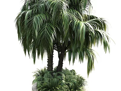 Lush Palm Arbor With Long Green Fronds Trunk And Surrounding Small Plants 3d model