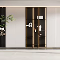 Modern Luxury Wardrobe with Gold Frame Glass Doors White Cabinetry and Green Plant Decorative Items
