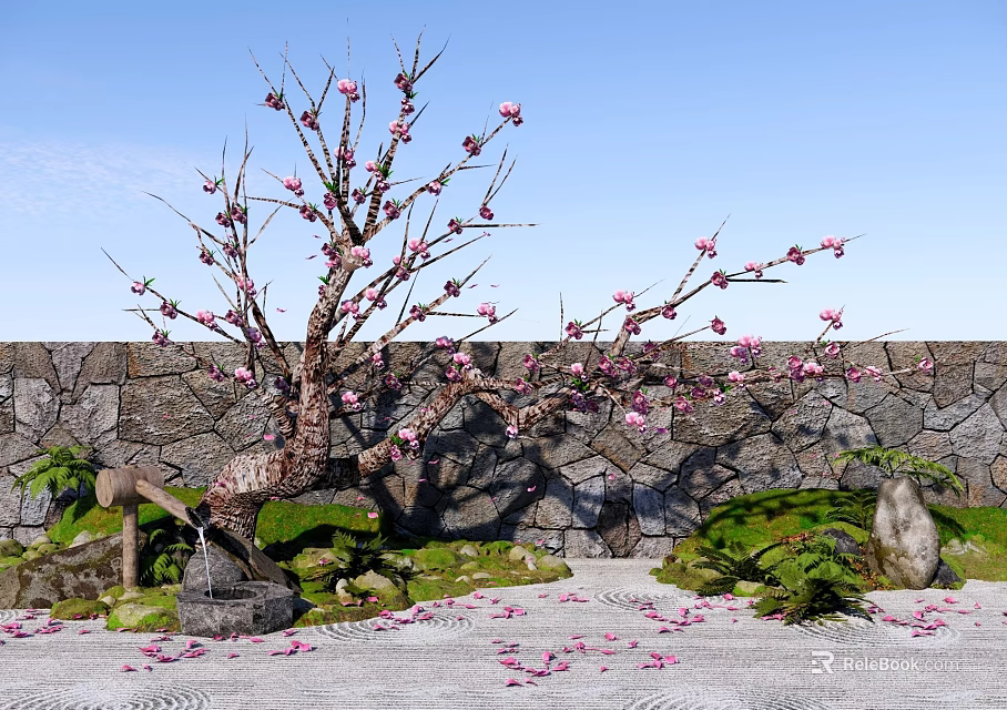 Ornamental Flowering Tree With Pink Blossoms Against Stone Wall Moss Scattered Petals And Green Plants 3d model 