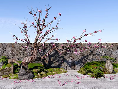 Ornamental Flowering Tree With Pink Blossoms Against Stone Wall Moss Scattered Petals And Green Plants 3d model