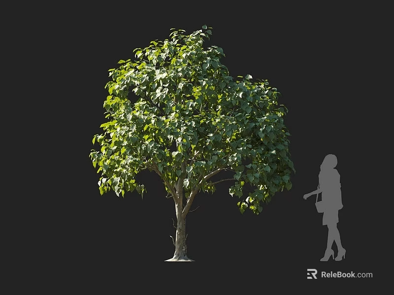 Lush Green Tree With Dense Leaves Trunk And Human Silhouette In Outdoor Scene 3d model 