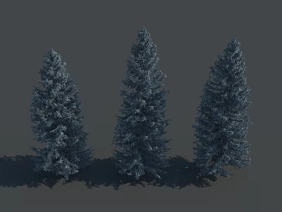 Three Snow Covered Evergreen Trees Standing Against Gray Background with Shadows 3d model