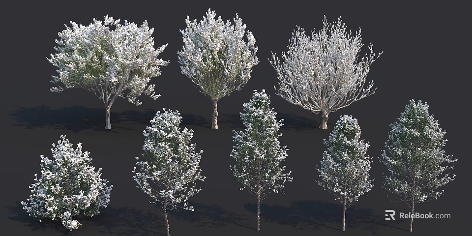 Various Arbor Tree Species With Diverse Foliage And Growth Forms For Landscaping 3d model 