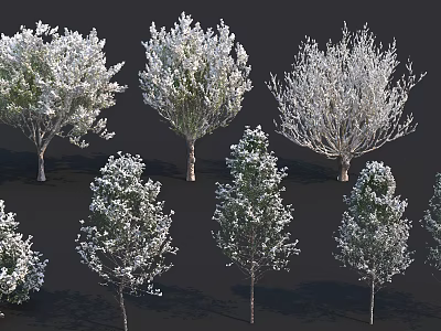 Various Arbor Tree Species With Diverse Foliage And Growth Forms For Landscaping 3d model