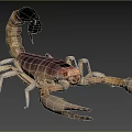Detailed View Of Reptile Scorpion With Striped Exoskeleton Large Pincers And Curled Tail In Grassland