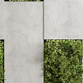 Living Plant Wall Design With Lush Green Foliage On Gray Concrete Panels