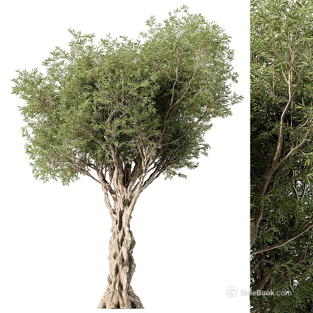 Lush Arbor with Textured Trunk and Dense Green Foliage in Natural Scene 3d model 