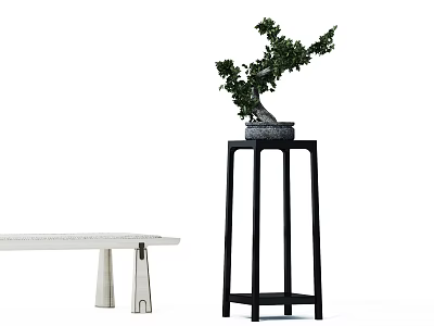 Elegant Bonsai Plant Placed On Black Tall Plant Stand With White Bench In White Background 3d model
