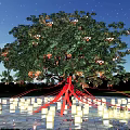 Charming Night Decoration With Large Tree Hanging Lanterns Red Ribbons And Ground Reflections