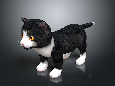 Cute Black and White Kitten With Yellow Eyes Standing On Gray Background 3d model