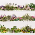 Colorful Garden Shrubs With Mixed Flowers Grasses And Ornamental Plants for Beautiful Outdoor Landscaping