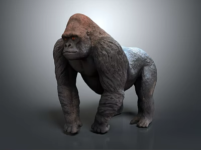 Realistic Gorilla 3D Model with Detailed Fur and Muscular Build on Gray Background 3d model