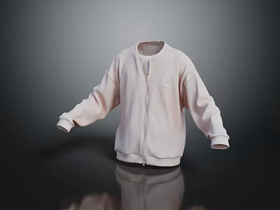 Light Pink Zip Up Jacket With Long Sleeves And Simple Design For Casual Wear 3d model