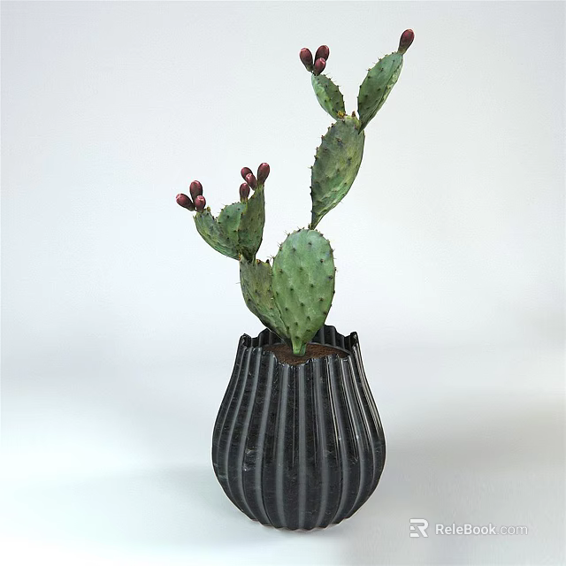 Green Potted Cactus Plant With Red Buds In Black Striped Vase For Indoor Decor 3d model 