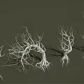 Leafless Trees with Exposed Trunks and Roots Arranged in a Row Against Dark Background 3d model